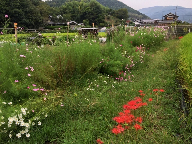 f0229190_12594232.jpg