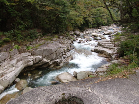 e0369096_22515012.jpg