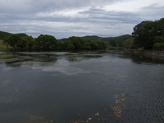 f0197703_19204633.jpg