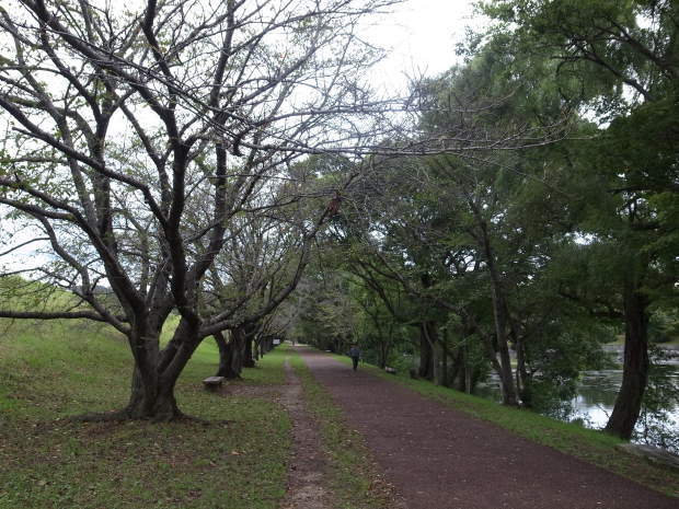 f0197703_19232829.jpg