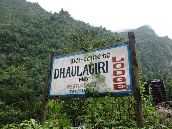 d0360509_23344478.jpg