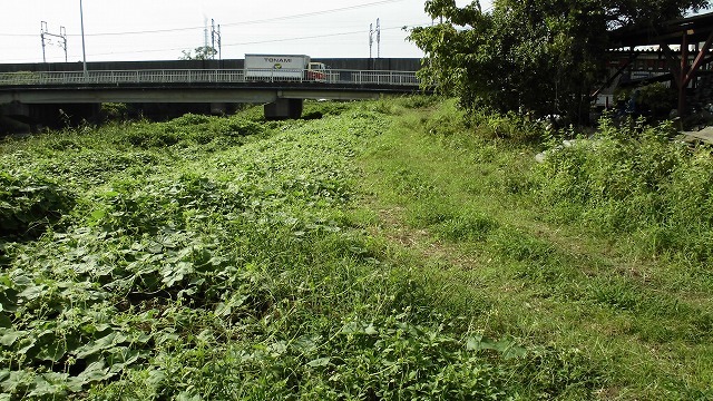 滝川の彼岸花は満開です！　明日はＪＲ東田子の浦駅から歩く「彼岸花ウォーク」へ！_f0141310_07341968.jpg