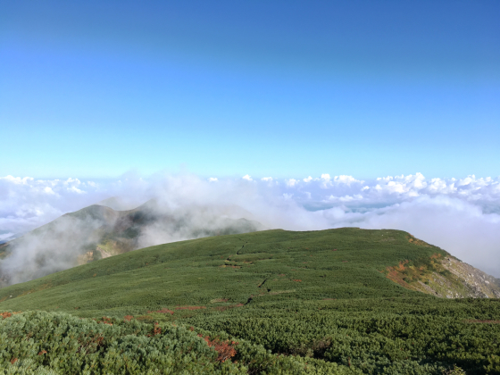 e0132713_06384990.jpg