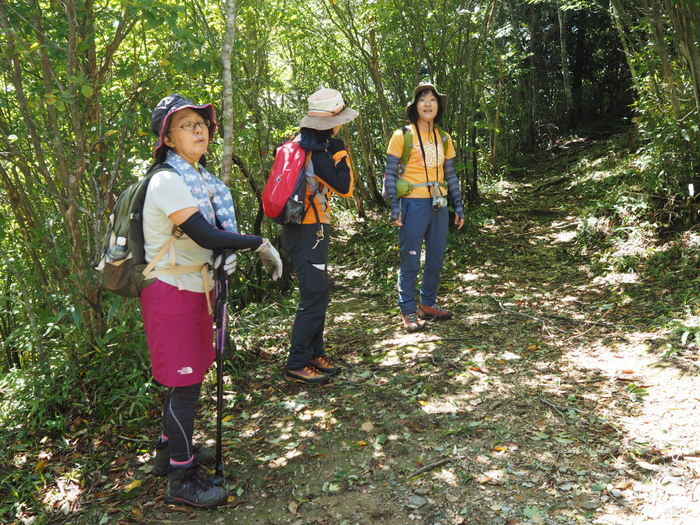 稲叢山（いなむらやま）登山_c0116915_00201497.jpg