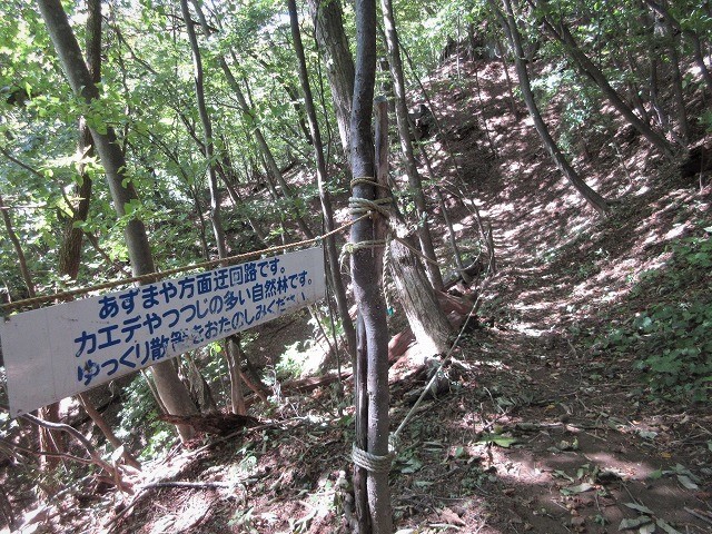 草津町　老女の血が流れているような嫗仙の滝　　　　　Osen falls in Kusatsu, Gunma_f0308721_23154328.jpg