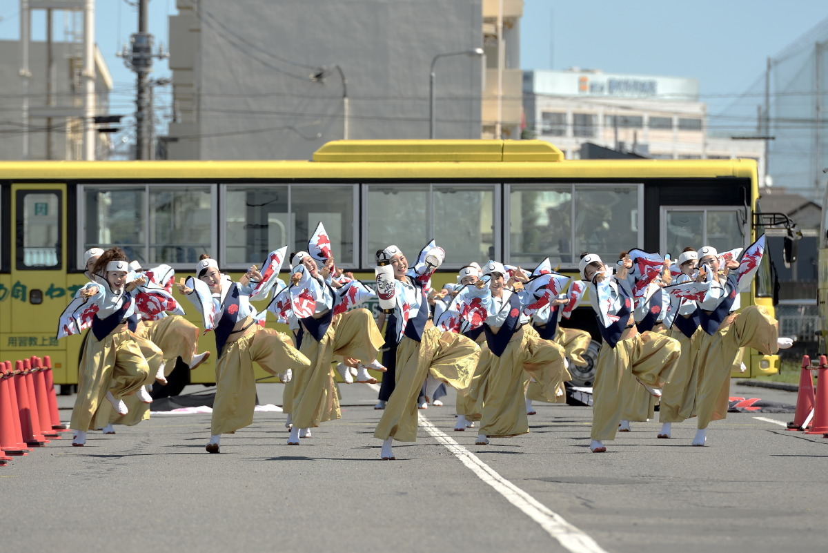 第7回　ところざわYOSAKOI元気フェスタ　「壱夢」さん　埼玉県坂戸市_c0276323_21053183.jpg