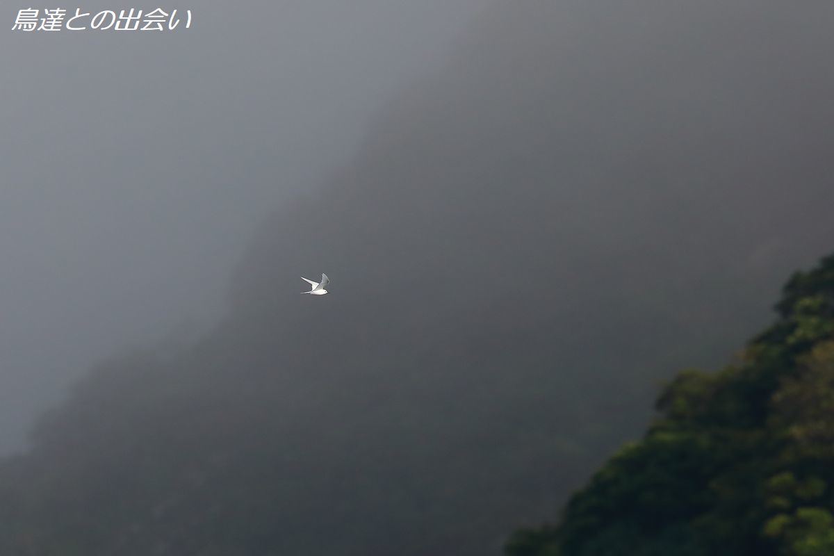 e0139623_18504815.jpg