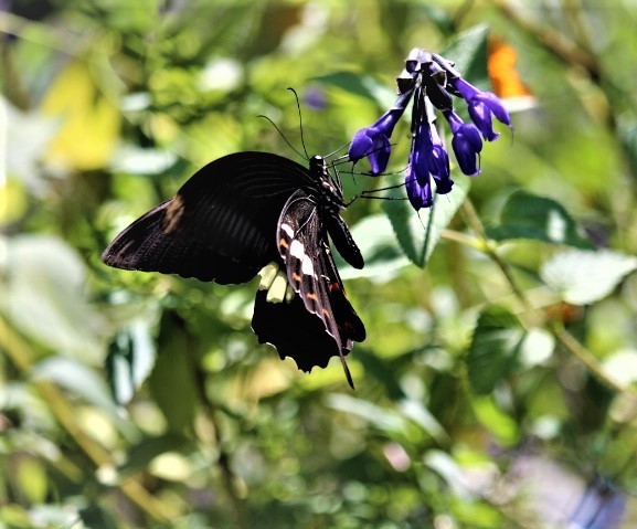 f0354923_00010114.jpg