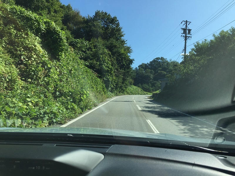 慣らし終えた」XVと大いに戯れる_f0076731_12395071.jpg