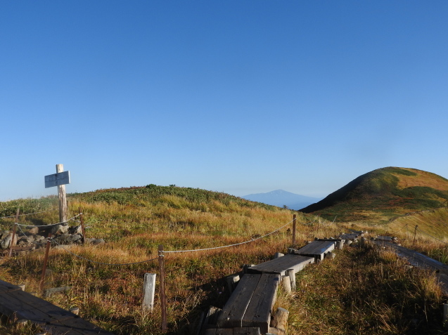 f0118332_21123282.jpg