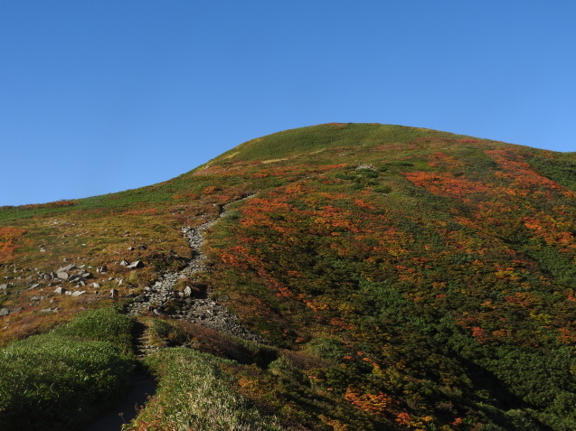 f0118332_21145458.jpg
