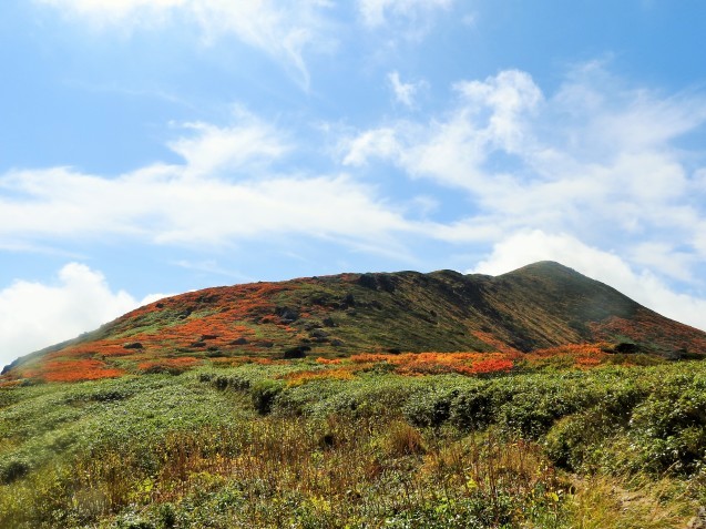 f0118332_21182487.jpg