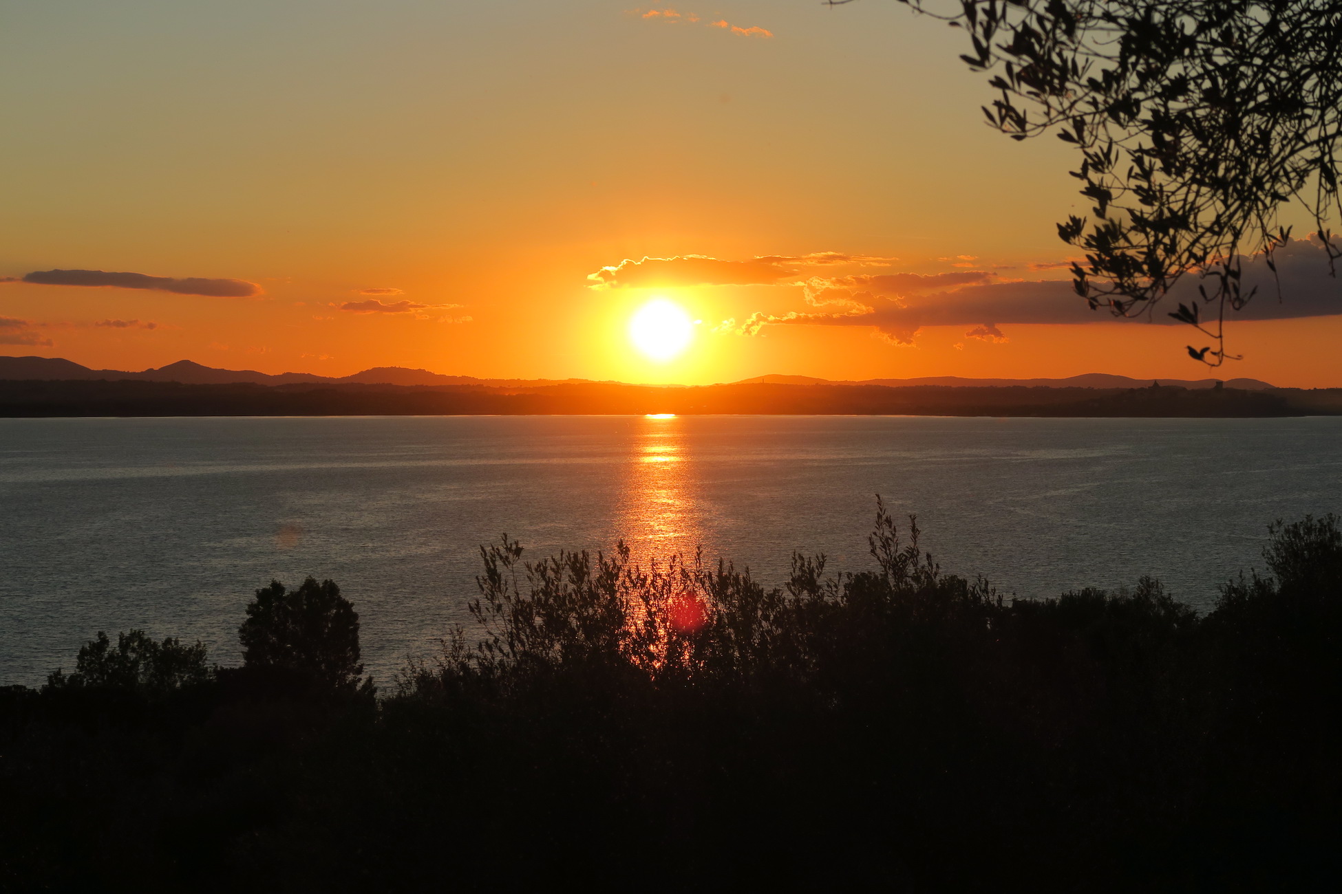 シクラメン・夕日が彩るポルヴェーセ島、イタリア ウンブリア_f0234936_7181757.jpg