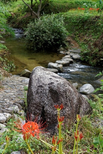 f0274536_19361620.jpg