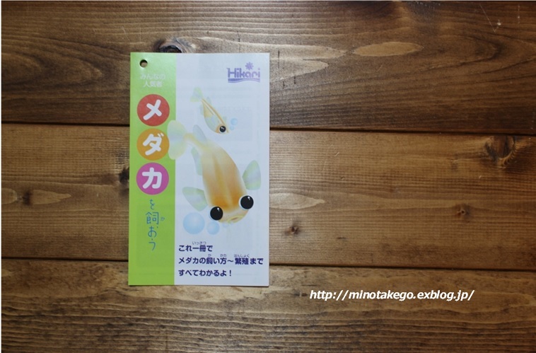 アクアリュウムフェア 2017 FUTAKO TAMAGAWA_e0343145_20423571.jpg