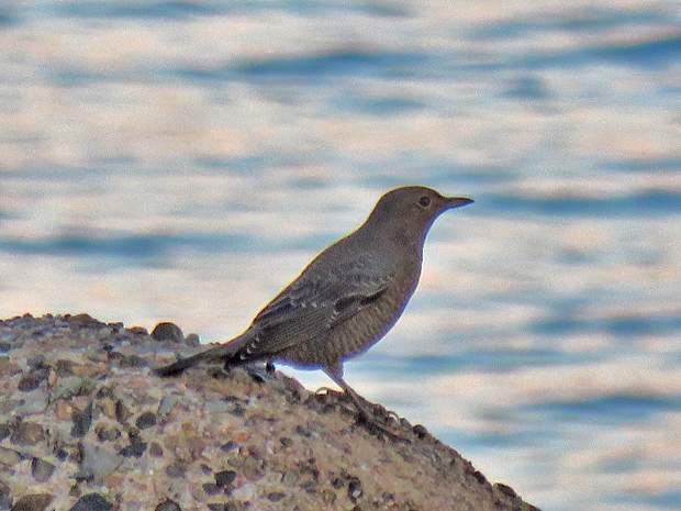 f0214649_04503300.jpg
