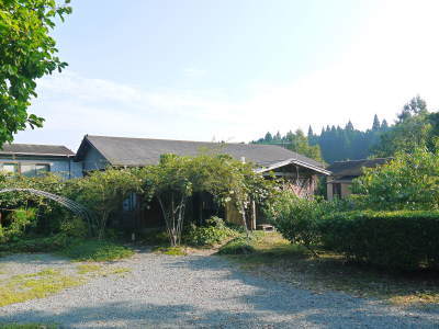 無農薬・無化学肥料で育てた栗の王様「利平栗」 平成29年度は完売御礼!明日より出荷します! _a0254656_18001179.jpg
