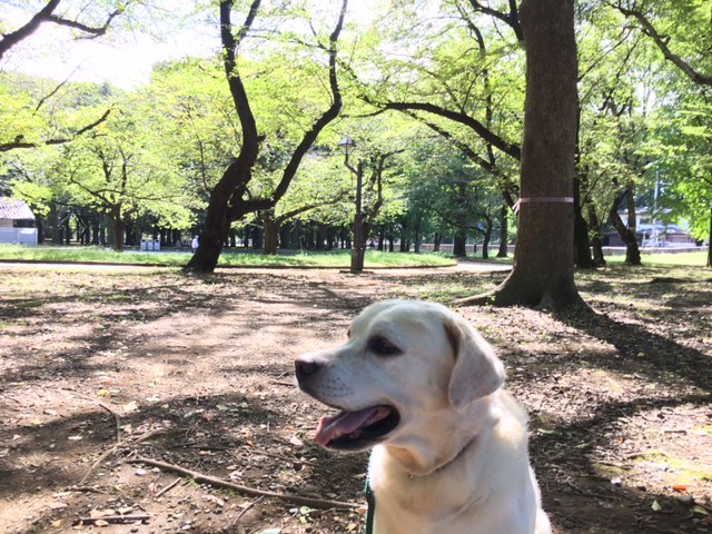 september  サージュと公園へ_a0165160_18472490.jpg