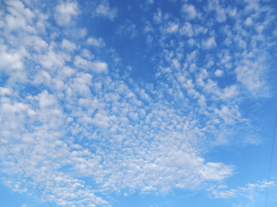 ’17,9,22(金)秋の空のうろこ雲!_f0060461_10432119.jpg