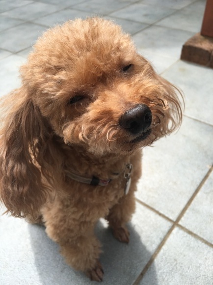 c0120363_17311991.jpeg