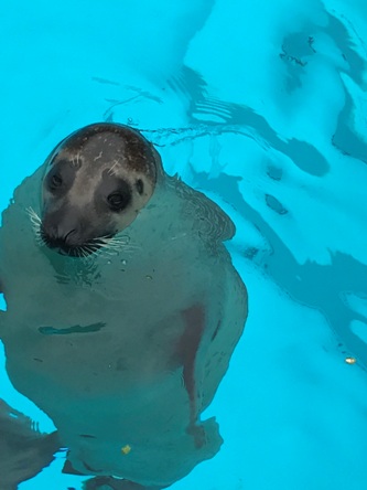 水族館にカメラの練習に行きました_b0214473_20493191.jpg