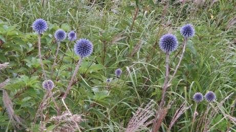 b0214473_209843.jpg