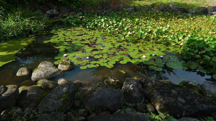 津南町～湯沢町～三国峠～猿ヶ京温泉～高山村　旅96日目_c0212083_17063963.jpg