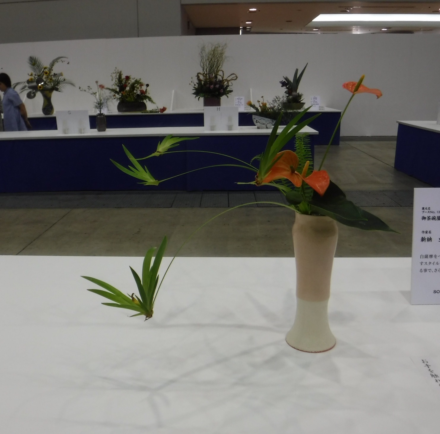 花と器の出会い_d0195183_23255908.jpg