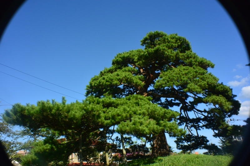 b0207491_07350112.jpg