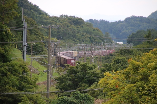 d0181492_16222056.jpg