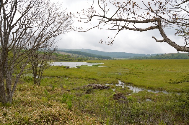 c0124100_18040187.jpg