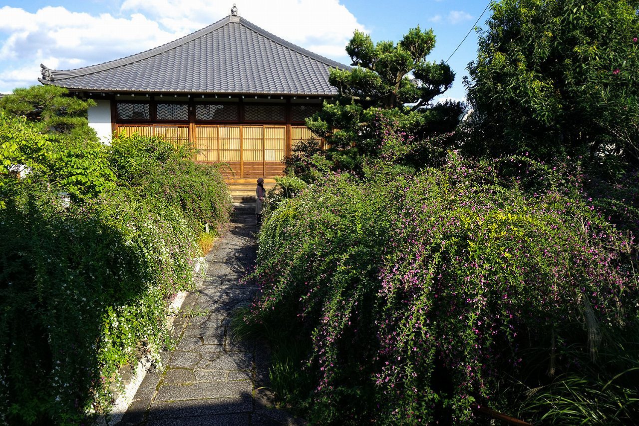 初秋の京を歩く～④出町柳・萩のお寺など_b0225108_17530318.jpg