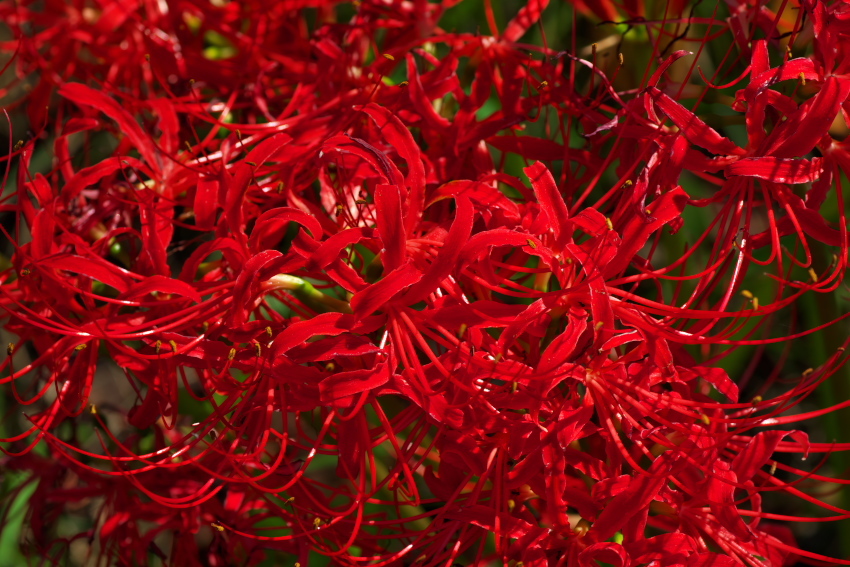 a0263109_09101740.jpg
