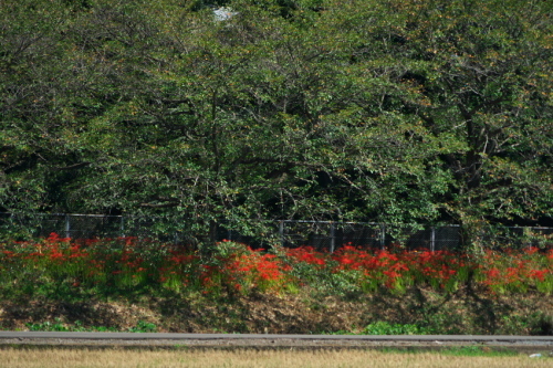 a0263109_09105137.jpg
