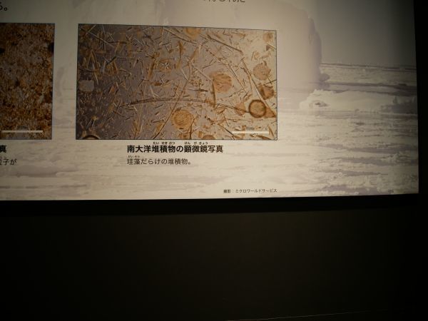 c0164709_09350464.jpg