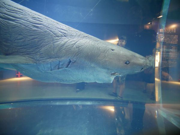 c0164709_09350504.jpg