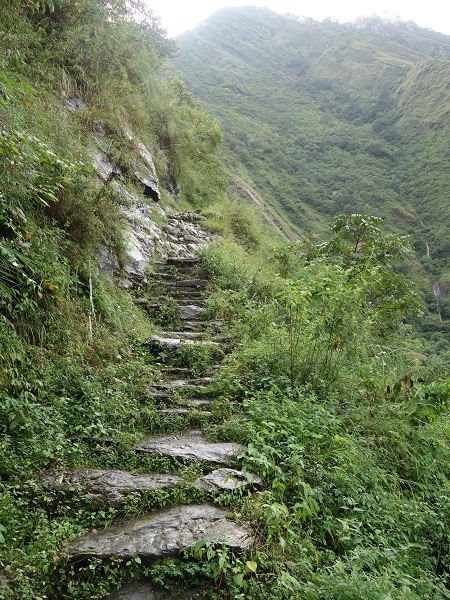 d0360509_053373.jpg