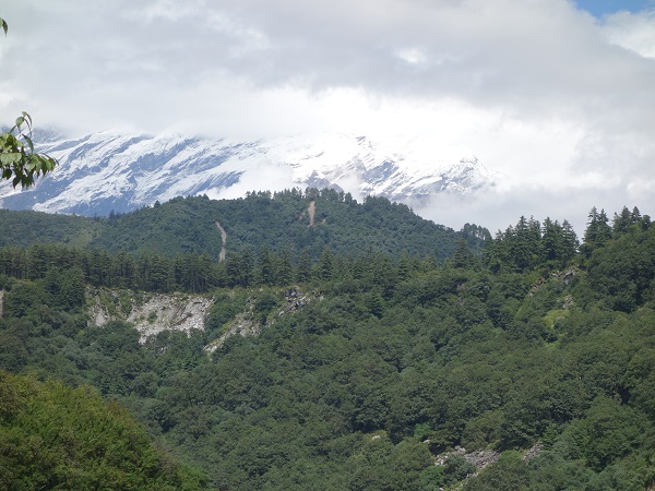 d0360509_23322133.jpg
