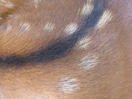 a0332314_09400116.jpg