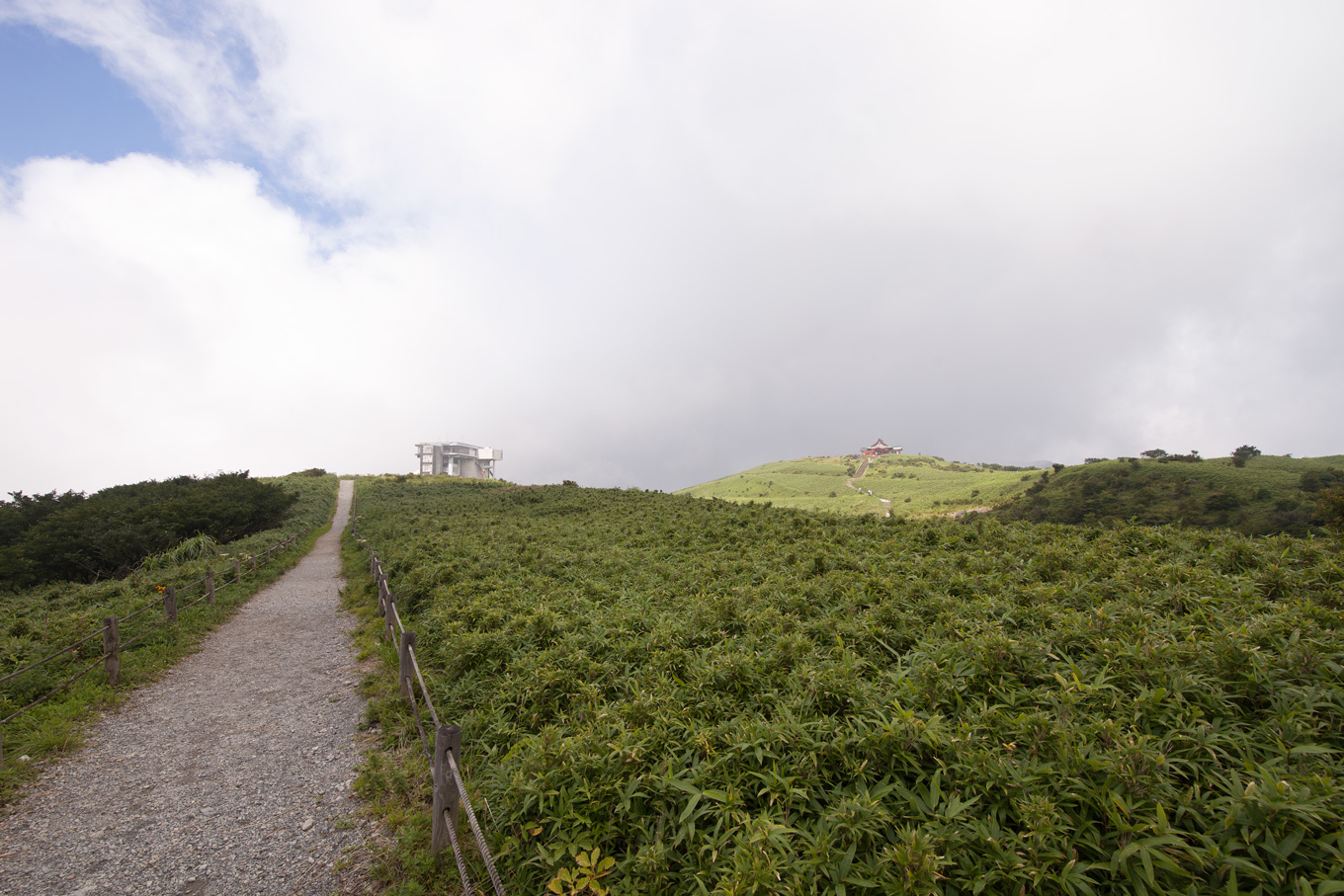 霧の箱根のお山の上から　箱根駒ケ岳_c0369219_16233003.jpg