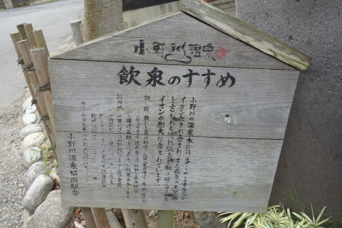 秋田旅行記　７　～小野川温泉と米沢城址公園～_d0296626_17072957.jpg