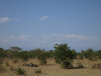 a0124132_11510504.jpg