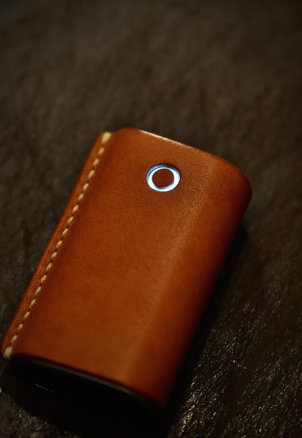 glo leather case_b0172633_20334659.jpg