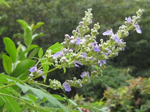 f0370337_15372940.jpg