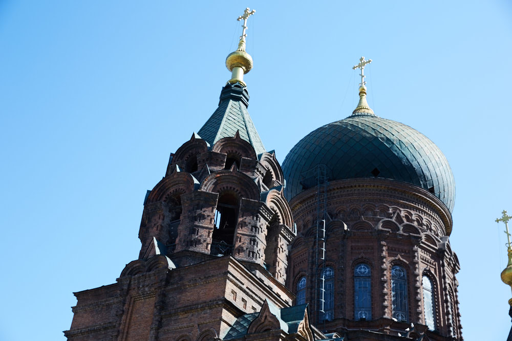 d0139939_18142244.jpg
