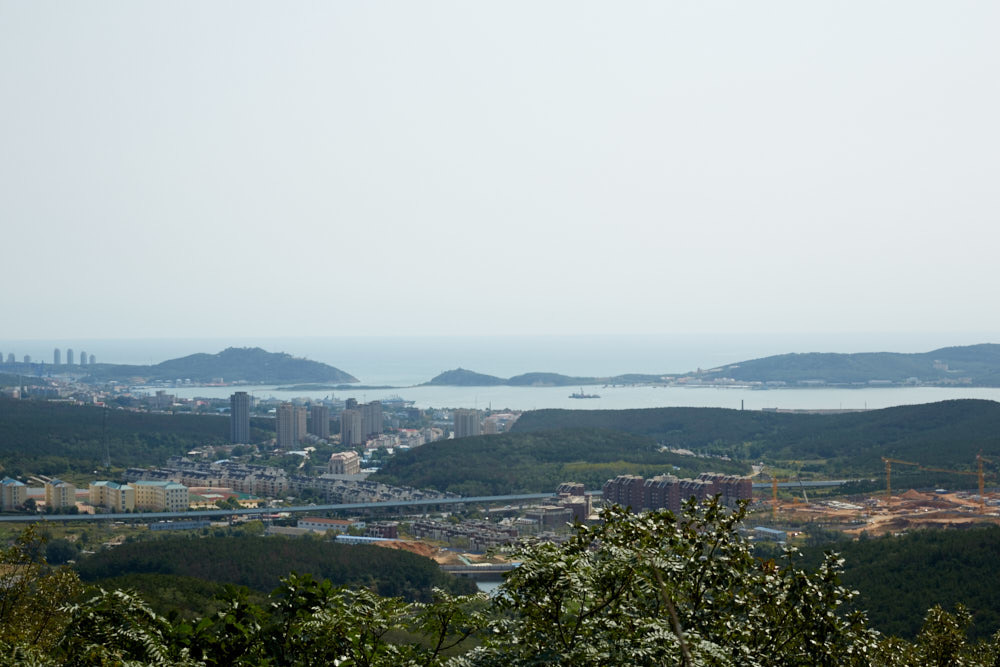 d0139939_18170135.jpg