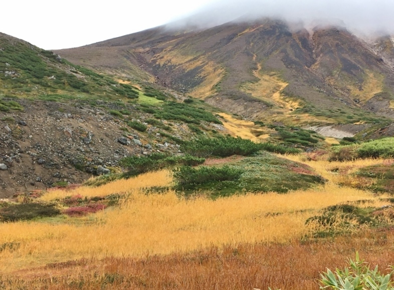 e0326953_07031230.jpg