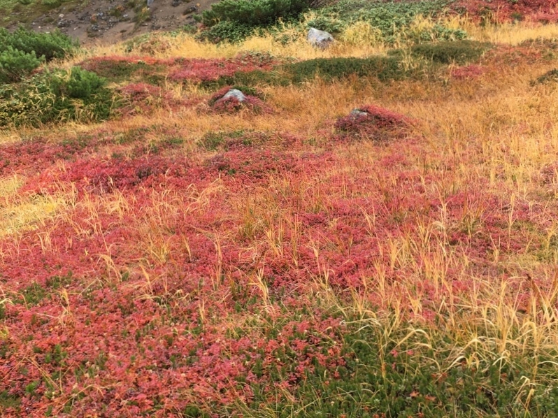 e0326953_07031949.jpg