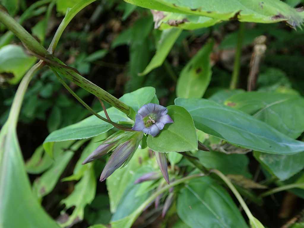 e0367158_20471834.jpg