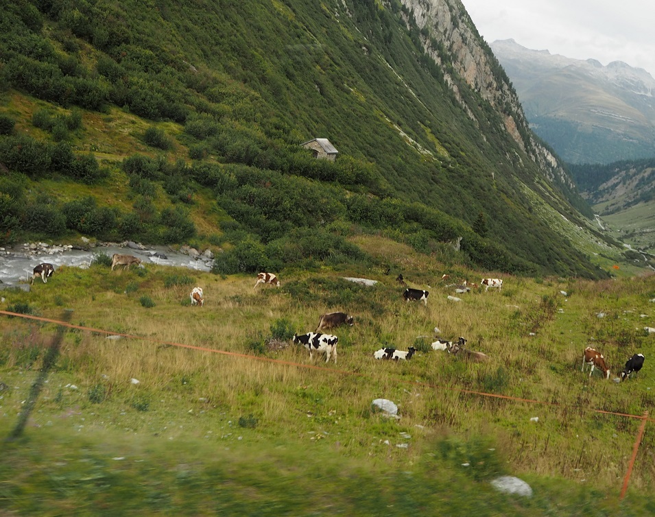 b0368673_16105499.jpg